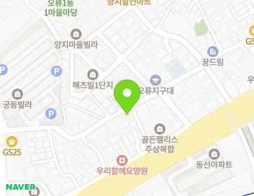서울특별시 구로구 고척로1길 45 (오류동) 지도