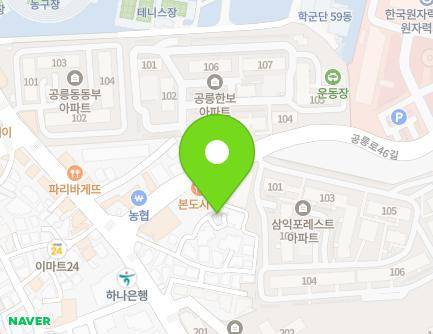 서울특별시 노원구 공릉로46가길 17-19 (공릉동) 지도