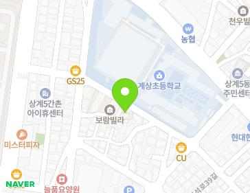 서울특별시 노원구 한글비석로41가길 17 (상계동, 보람빌라) 지도