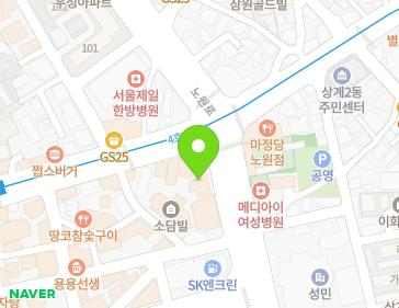 서울특별시 노원구 노원로 449 (상계동) 지도