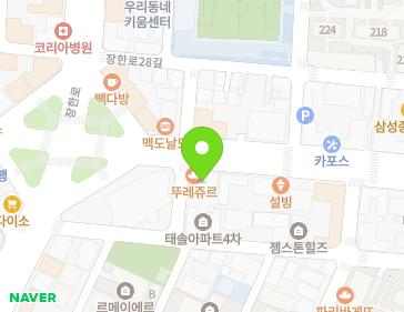 서울특별시 동대문구 답십리로 294 (장안동) 지도