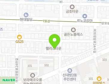서울특별시 동작구 여의대방로24마길 13 (대방동, 팰리스타운) 지도