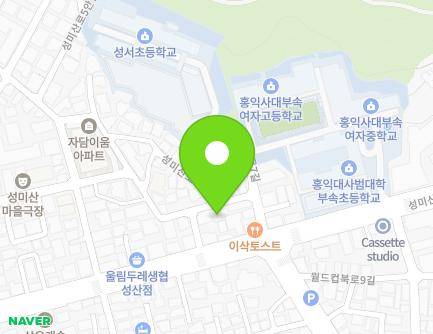 서울특별시 마포구 성미산로7안길 9 (성산동) 지도