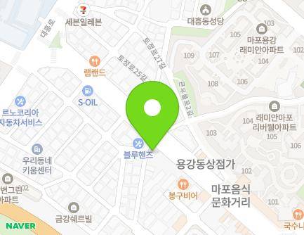 서울특별시 마포구 토정로 272 (용강동) 지도