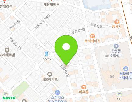 서울특별시 마포구 양화로1길 54 (합정동, 대명풀하우스) 지도