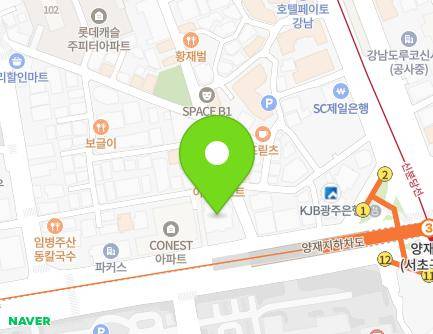 서울특별시 서초구 남부순환로 2569 (서초동, 대한성서공회빌딩) 지도