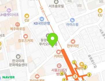 서울특별시 서초구 서초중앙로 45 (서초동, 서초레몬) 지도