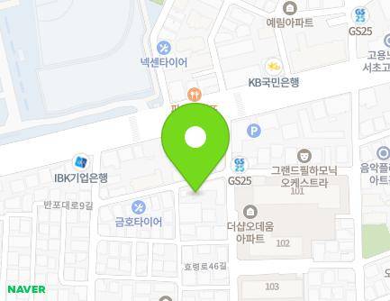 서울특별시 서초구 반포대로9길 55 (서초동, 힐하우스) 지도