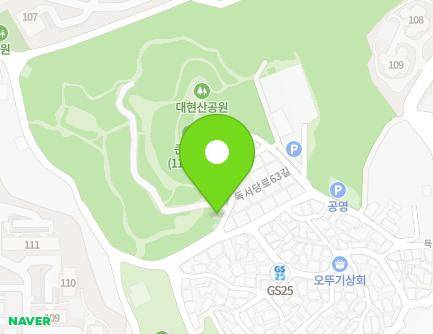 서울특별시 성동구 독서당로63길 60 (금호동1가) 지도