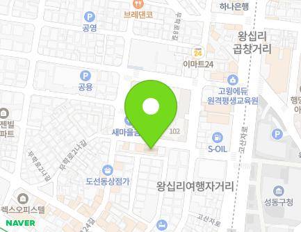 서울특별시 성동구 왕십리로24나길 10 (도선동, 트윈빌) 지도