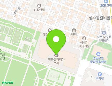 서울특별시 성동구 서울숲2길 32-14 (성수동1가, 갤러리아포레) 지도