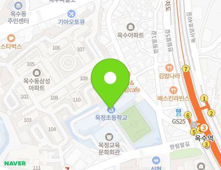 서울특별시 성동구 한림말길 43 (옥수동, 옥정초등학교) 지도