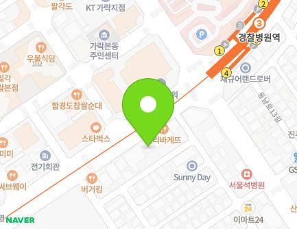 서울특별시 송파구 중대로 128 (가락동) 지도