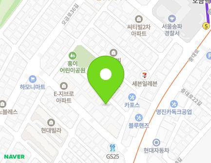 서울특별시 송파구 송이로17길 46-24 (가락동, 행복빌리지) 지도