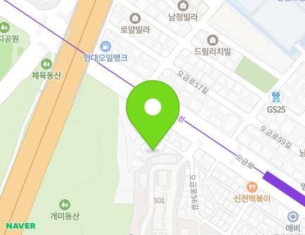 서울특별시 송파구 오금로54길 6-3 (거여동) 지도