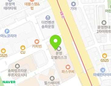 서울특별시 송파구 송파대로 145 (문정동, 문정오벨리스크) 지도