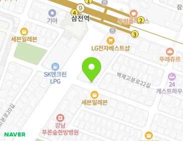 서울특별시 송파구 삼전로6길 3 (삼전동, 광동주택) 지도