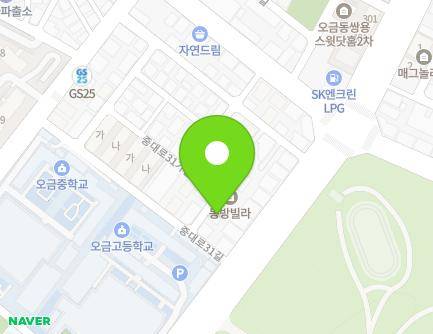 서울특별시 송파구 중대로31가길 4 (오금동, 33에비뉴) 지도