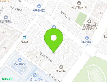 서울특별시 송파구 중대로31가길 11-1 (오금동, 더로즈아트빌) 지도