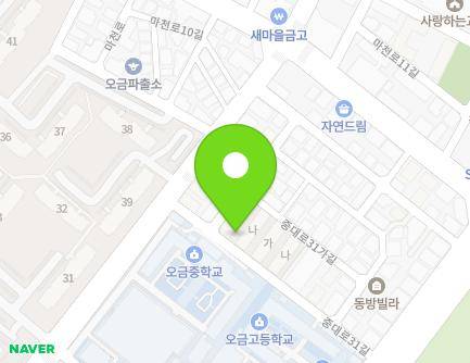 서울특별시 송파구 중대로31길 18 (오금동, 현대타운) 지도