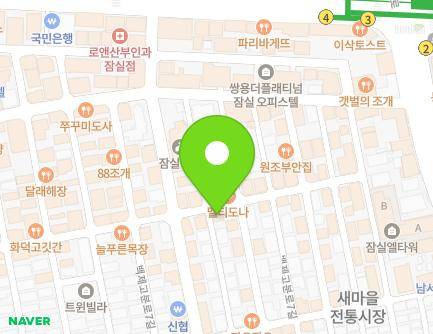 서울특별시 송파구 백제고분로9길 42 (잠실동) 지도