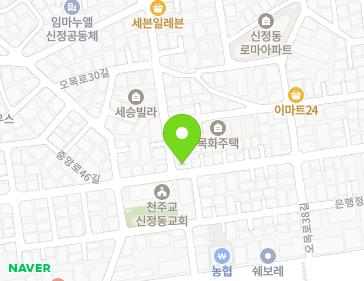 서울특별시 양천구 중앙로46길 29 (신정동) 지도