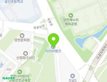 서울특별시 양천구 목동로 17 (신정동) 지도