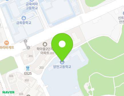 서울특별시 양천구 신정로14길 13 (신정동, 양천고등학교) 지도