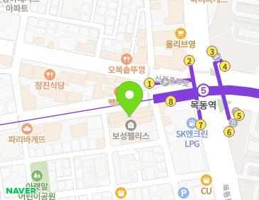 서울특별시 양천구 오목로 232 (신정동, 보성팰리스) 지도