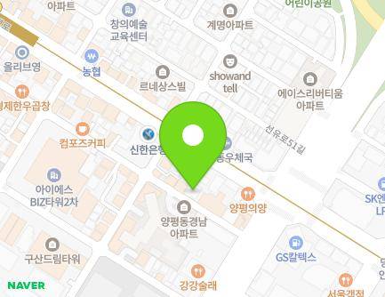 서울특별시 영등포구 선유로49길 8 (양평동4가) 지도