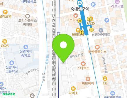 서울특별시 용산구 한강대로81길 18 (갈월동) 지도