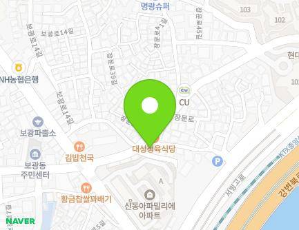 서울특별시 용산구 장문로 112 (보광동) 지도