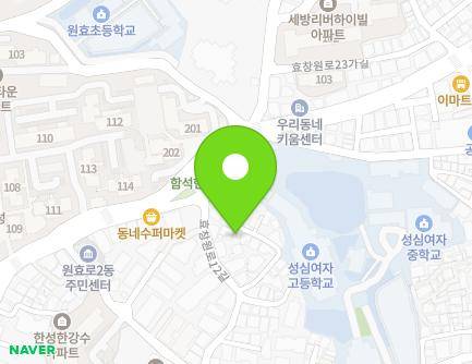 서울특별시 용산구 효창원로12가길 8-1 (원효로4가) 지도