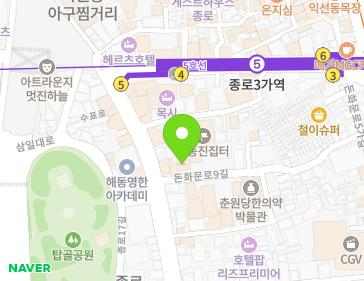 서울특별시 종로구 돈화문로9길 40 (낙원동) 지도