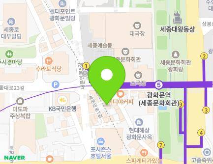 서울특별시 종로구 새문안로9길 29-1 (당주동) 지도