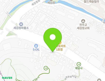 서울특별시 종로구 자하문로 297 (홍지동, 플로라빌) 지도