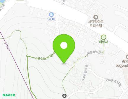 서울특별시 종로구 자하문로43길 42-3 (홍지동) 지도