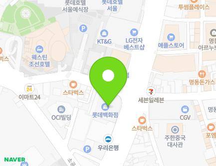 서울특별시 중구 남대문로 67 (남대문로2가, 롯데영플라자) 지도