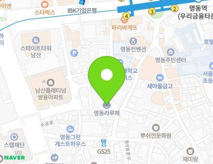 서울특별시 중구 퇴계로18길 46 (남산동1가) 지도