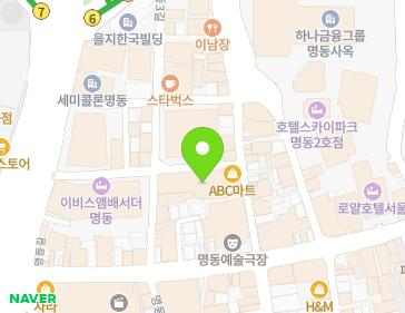 서울특별시 중구 명동7길 13 (명동1가, 명동증권빌딩) 지도