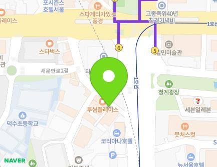 서울특별시 중구 세종대로 135-3 (태평로1가, 구두수선대227) 지도