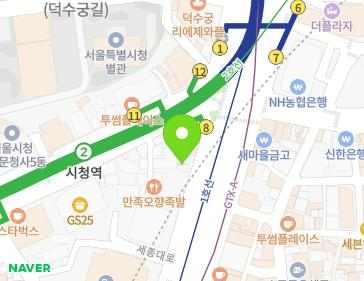 서울특별시 중구 세종대로 79 (태평로2가) 지도