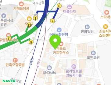 서울특별시 중구 남대문로1길 55 (태평로2가) 지도