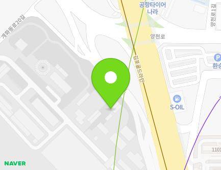 서울특별시 강서구 하늘길 38 (방화동, 김포공항,롯데몰,스카이시티) 지도