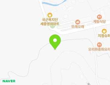 세종특별자치시 금남면 채나무길 71 지도