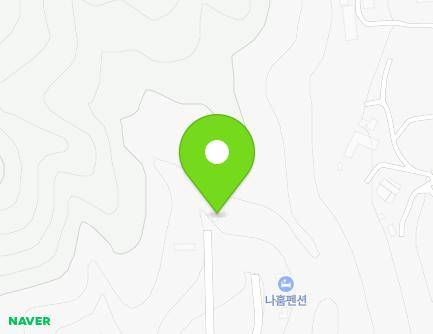 세종특별자치시 금남면 금남구즉로 529-46 지도