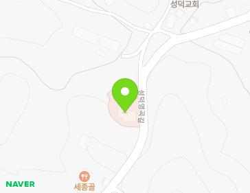 세종특별자치시 금남면 성덕영곡길 150 (노유자시설) 지도