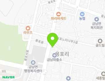 세종특별자치시 금남면 용포로 64 지도