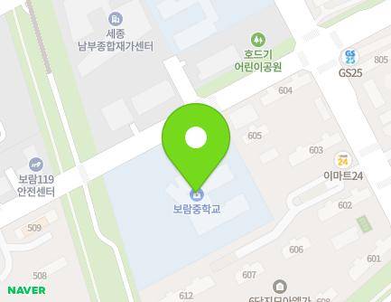 세종특별자치시 남세종로 423 (보람동, 보람중학교) 지도