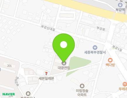 세종특별자치시 부강면 부강신대길 56-17 (대광아파트) 지도
